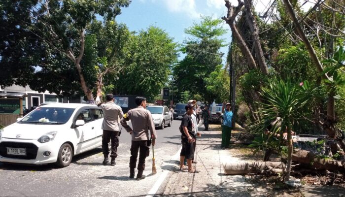 Cegah Pohon Tumbang, Polsek Batulayar Jaga Keamanan Jalan Raya Senggigi