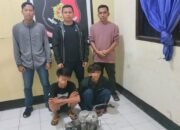 Kurang dari 1×24 Jam, Polsek Sekongkang Sergap 2 Pelaku Pencurian Mesin Sepeda Motor