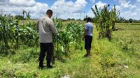 Bhabinkamtibmas Labuapi Dampingi Petani, Optimalkan Lahan Kosong untuk Ketahanan Pangan Nasional