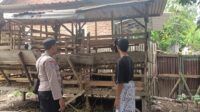 Kapolsek Kediri Edukasi Peternak Kambing, Dukung Ketahanan Pangan 2045