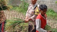 Bhabinkamtibmas Merembu Edukasi Warga Soal Ketahanan Pangan