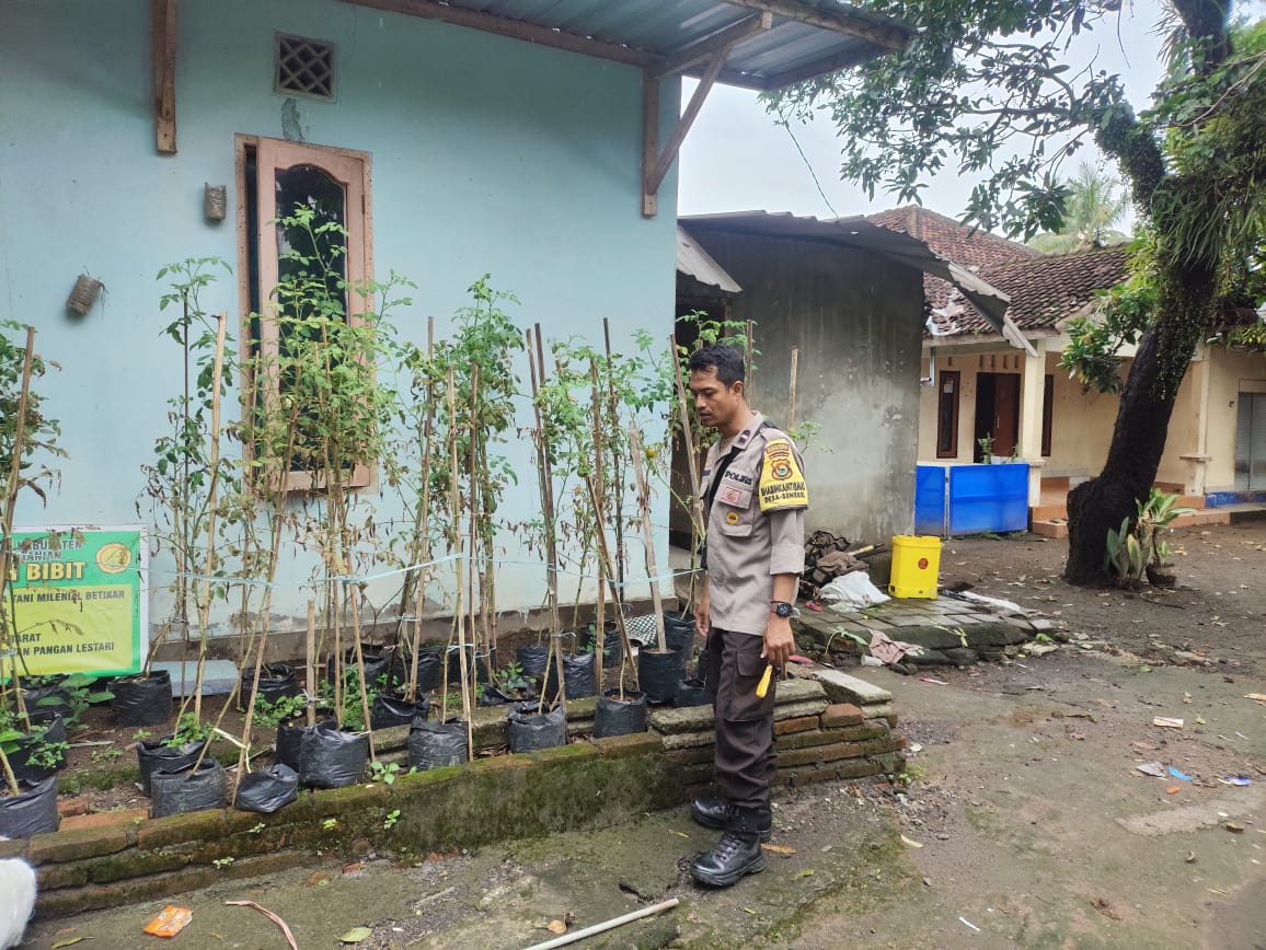 Warga Bengkel Sulap Pekarangan Jadi Sumber Pangan Bergizi