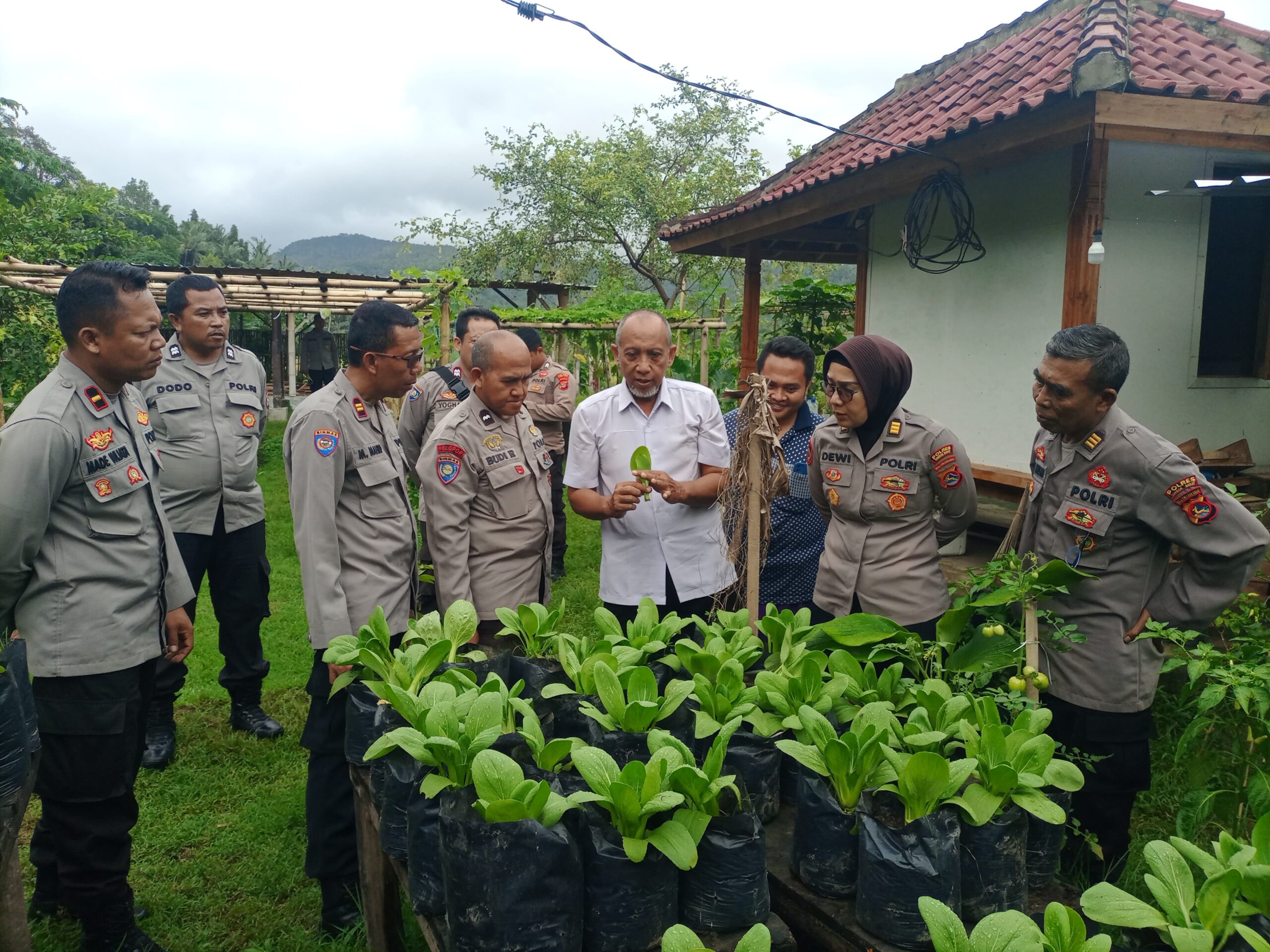 Sinergi Polri dan Masyarakat, Wujudkan Ketahanan Pangan di Lombok Barat