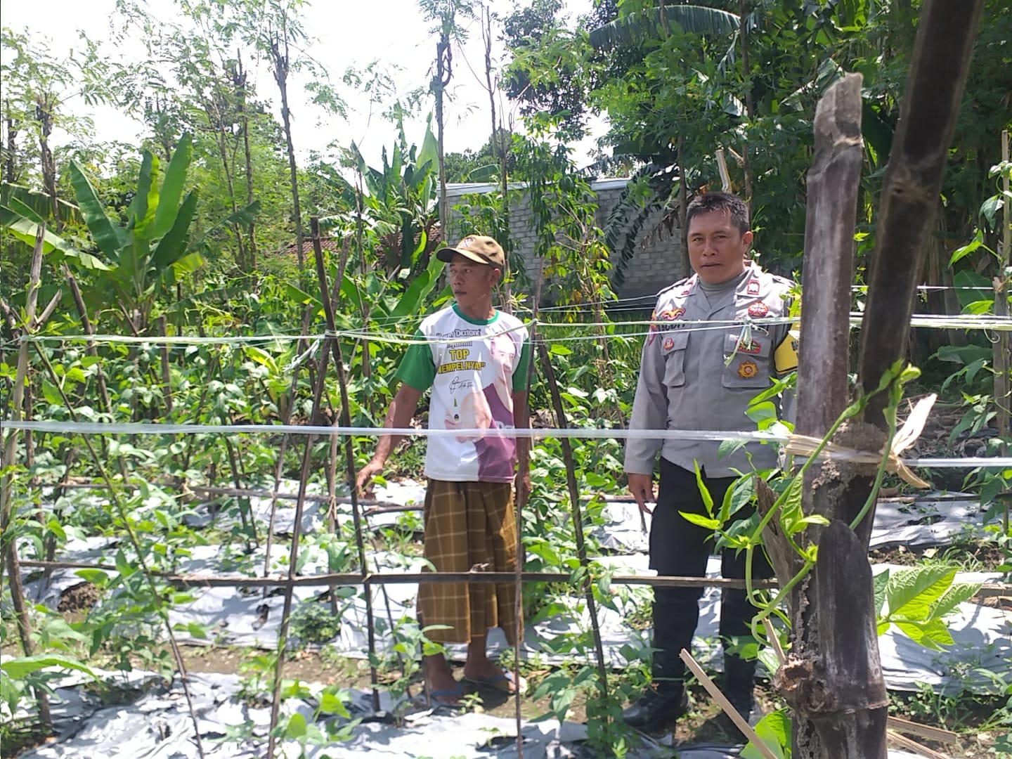 Bhabinkamtibmas Jagaraga Dorong Warga Tanam Sayur di Pekarangan Rumah