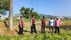 Polres Lombok Barat Dampingi Petani Jagung di Desa Mesanggok