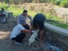 Bhabinkamtibmas Polres Bima Kota Dampingi Tim Vaksinasi Anjing Rabies di Kelurahan Kendo