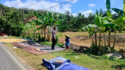 Bhabinkamtibmas Eyat Mayang Dukung Petani Lembar Jaga Ketahanan Pangan