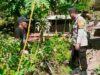 Bripka Ramli Dampingi Warga Kelola Lahan Pekarangan Pangan Bergizi di Desa Mantun