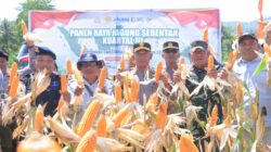 Kapolres Pimpin Langsung Kegiatan Panen Raya Jagung Kuartal III, Bersinergi Bersama Wujudkan Ketahanan Pangan