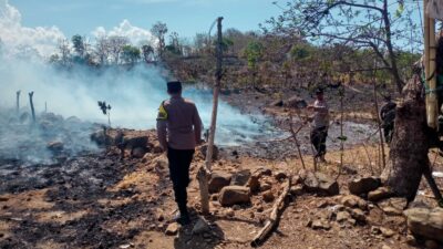 Respon Cepat Polsek Asakota, Personel Datangi Lokasi Kebakaran Lahan Jagung di Kelurahan Kolo