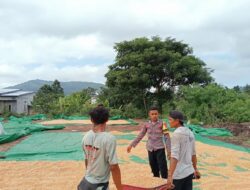 BHABINKAMTIBMAS PEKAT PANTAU HASIL PANEN WARGA DUKUNG PROGRAM KETAHANAN PANGAN NASIONAL