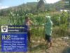 Dukung Ketahanan Pangan: BKTM Rhee Dampingi Petani di Lahan Persawahan
