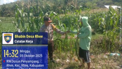 Dukung Ketahanan Pangan: BKTM Rhee Dampingi Petani di Lahan Persawahan