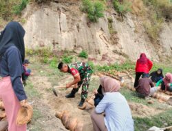 Babinsa dan Mahasiswa Undikma Sulap Halaman Desa Jadi Taman Asri