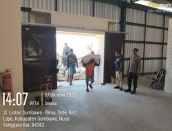 Dukung Ketahanan Pangan, Bulog Sumbawa Serap 10 Ton Jagung Petani Lape dan Lopok