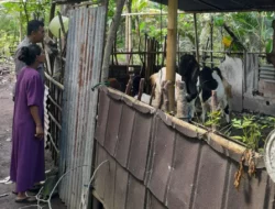 Bhabinkamtibmas Senggigi Ajak Warga Kelola Lahan Kosong Jadi Sumber Pangan