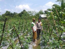 Bhabinkamtibmas Dorong Warga Jagaraga Manfaatkan Pekarangan untuk Pangan