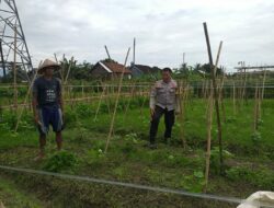 Bhabinkamtibmas Jagaraga Ajak Petani Mandiri Pangan di Lombok Barat