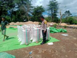 BHABINKAMTIBMAS DESA WOKO PANTAU AKTIVITAS WARGA BINAAN SAAT MENJUAL HASIL PANEN JAGUNG