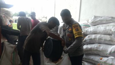 Jaga Kualitas, Polri Bantu Petani Lombok Barat Pipil Jagung