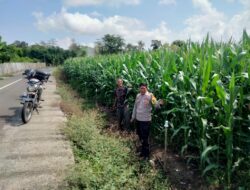 BHABINKAMTIBMAS DESA CEMPI JAYA POLSEK HU’U PERKUAT KEMITRAAN POLISI–MASYARAKAT MELALUI KEGIATAN SAMBANG