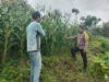 Bhabinkamtibmas Desa Janapria Laksanakan DDS dan Pengecekan Tanaman Jagung Warga