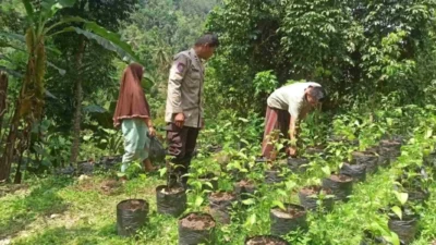 Polri Dorong Ketahanan Pangan di Lombok Barat Melalui Pekarangan