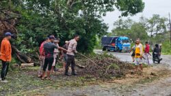 Pastikan Jalur Utama Aman, Polsek Buer Pimpin Evakuasi Pohon Tumbang di Desa Tarusa