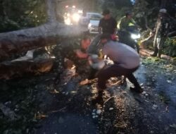 Polsek Asakota Polres Bima Kota Bersama Warga Lakukan Pembersihan Pohon Tumbang di Jalan Lintas Wera – Bima