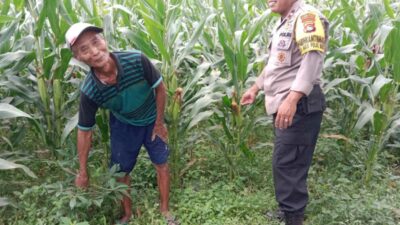Langkah Polres Lombok Barat Tingkatkan Produktivitas Pangan Desa
