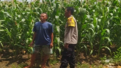 Dukung Swasembada Pangan, Polisi Dampingi Petani di Lombok Barat