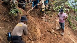 Polres Loteng Bersama Tim Gabungan Tertibkan Galian Bekas Tambang Ilegal di Gunung Dundang.
