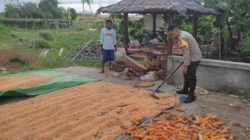 Polri Dampingi Petani Labuapi Percepat Swasembada Pangan