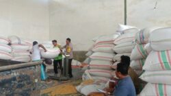 Bhabinkamtibmas Kawal Produktivitas Petani di Mendagi