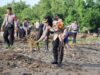 100 Personel Gabungan Polri Laksanakan Gotong Royong Gerakan Indonesia Asri di Pantai Saliper Ate