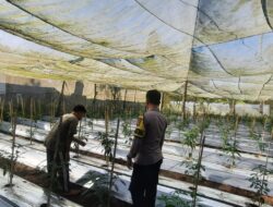 Bhabinkamtibmas Desa Kumbang Monitoring Ketahanan Pangan dan Ajak Warga Jaga Kamtibmas