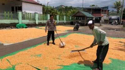 Dukung Ketahanan Pangan Nasional, Bhabinkamtibmas Desa O’o Pantau Penjemuran Jagung Warga