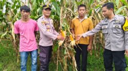 DUKUNG PROGRAM KETAHANAN PANGAN NASIONAL, POLSEK DOMPU PANTAU LAHAN JAGUNG WARGA DI DESA O’O