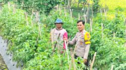 Bhabinkamtibmas Sakra Selatan Silaturahmi dan Monitor Program Ketahanan Pangan di Bagik Periduk
