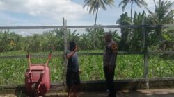 Polri Kawal Swasembada Pangan di Desa Kuranji