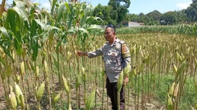 Polisi Dorong Kemandirian Pangan di Lombok Barat