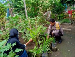 Polsek Labuapi Sulap Pekarangan Warga Jadi Lumbung Pangan Mandiri