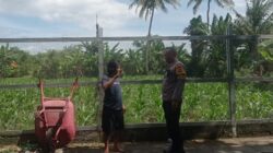 Bhabinkamtibmas Desa Kuranji Dorong Optimalisasi Lahan Produktif