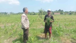 Polsek Batulayar Dorong Warga Sandik Optimalkan Lahan Demi Pangan