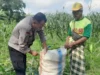 Kawal Ketahanan Pangan Nasional, Personel Polsek Labuapi Dampingi Petani Bagik Polak Barat di Sawah