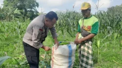 Kawal Ketahanan Pangan Nasional, Personel Polsek Labuapi Dampingi Petani Bagik Polak Barat di Sawah