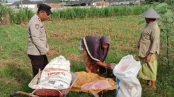 Polsek Labuapi Kawal Ketahanan Pangan di Karang Bongkot