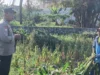 Bhabinkamtibmas Desa Karang Bongkot Turun ke Sawah, Kawal Langsung Panen dan Stok Gudang Petani