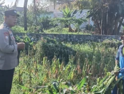 Bhabinkamtibmas Desa Karang Bongkot Turun ke Sawah, Kawal Langsung Panen dan Stok Gudang Petani