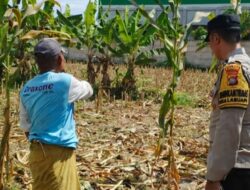 Langkah Nyata Polsek Labuapi Perkuat Ketahanan Pangan: Ajak Warga Sulap Pekarangan Jadi Kebun Produktif